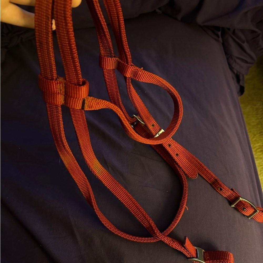 Nylon Red Headstall